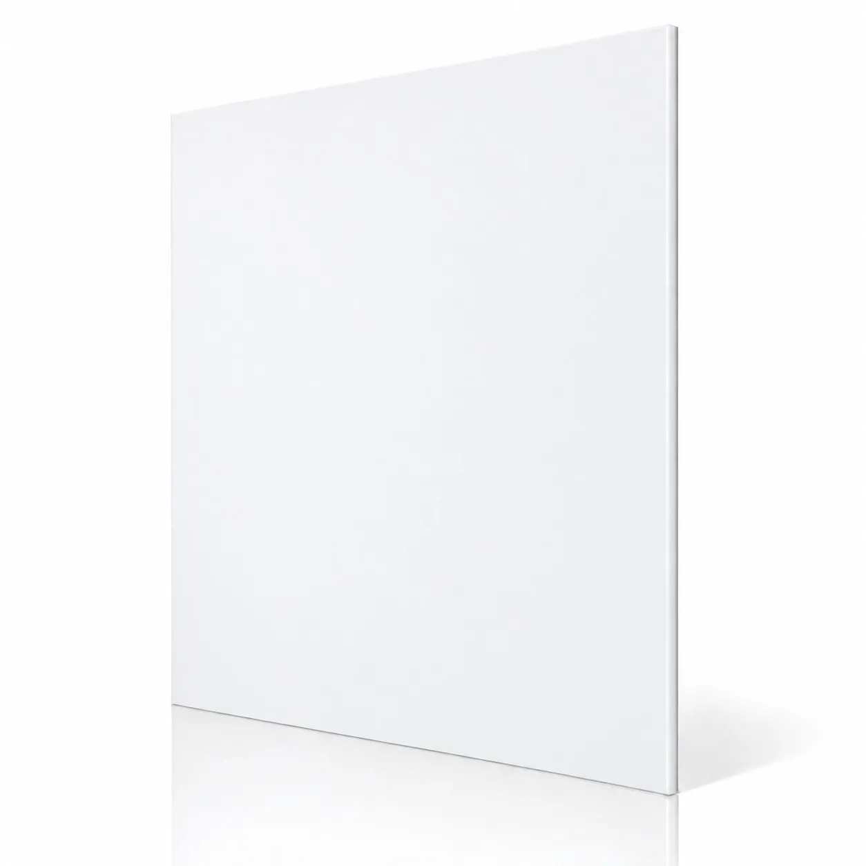 ACP In/3 Dumb WHITE